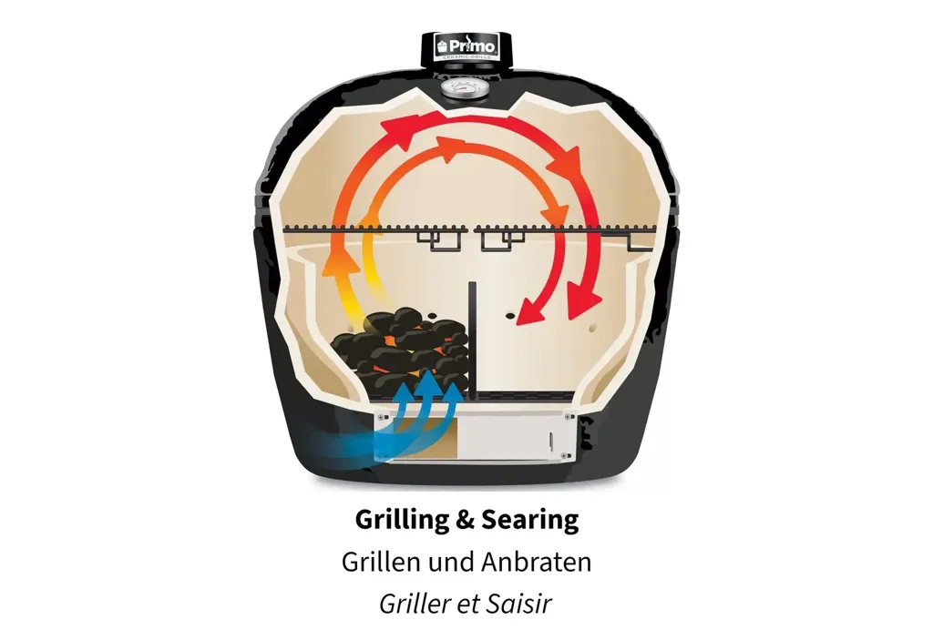 Primo-Grill-300-LG-12.webp