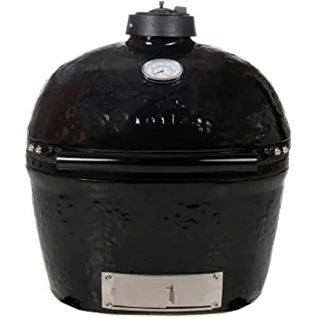 Barbecue kamado Primo Oval Junior 200